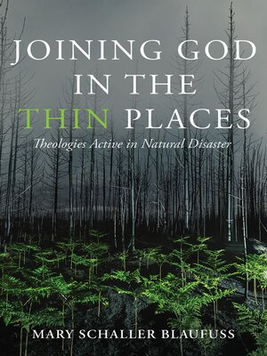 cover image of Joining God in the Thin Places